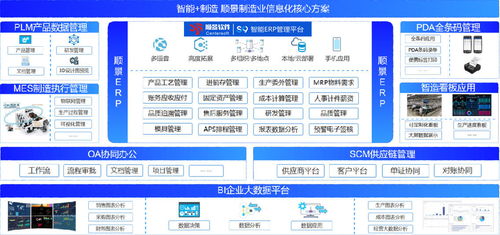 erp选型 指难